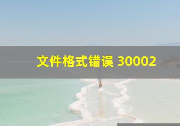 文件格式错误 30002